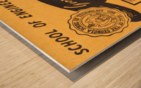 Vintage Georgia Tech Art Wood print
