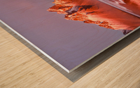 2141212 1638545394.9591 Wood print