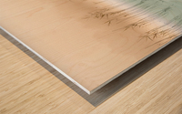 2140402 1638545425.2715 Wood print