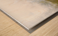 2156830 1638545449.7898 Wood print