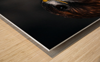 Red Tailed Hawk Profile Wood print