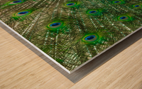 Mayfield Park Peacock Wood print