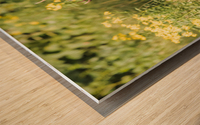 A Large Male Elk Roaming in a Field Of Flowers Wood print