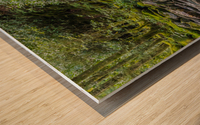 Alone With The Sounds of Running Water in Alum Cave Trail Wood print
