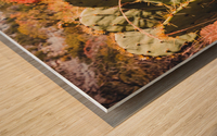 Cacti In The Fall Wood print
