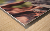 Driftwood Frames A Bluebonnet Wood print