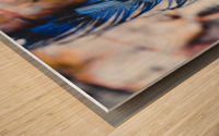 Blue Jay Feather on a Bed Of Leaves Wood print