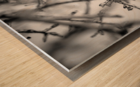 Ice Covered Twigs Wood print