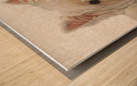 Westie Wood print