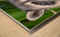 Rocky Wood print