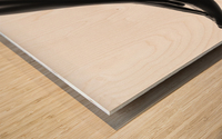 Nude bodyscape on white 03 Wood print