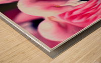 5301516A 516B 4F15 89D6 5B1488CB8DF1 Wood print