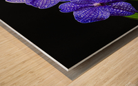 Dramatic Orchids Wood print