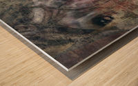 Intimate Horse 2 Wood print