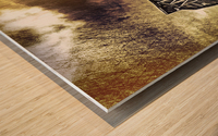 Big Barn Wood print
