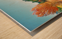 Carson River Wood print