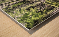 Bear Clover along Cedar Trail Wood print