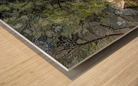 Cedar Grove Oil Painting Wood print
