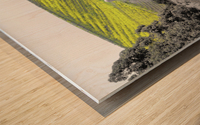 Blue Creek Ranch Wood print