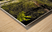 Creek Crossing Wood print