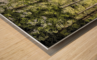 A Place to Reflect Wood print