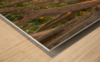 2E7033FE 30CF 4E25 B40B BC32CF46E6B7 Wood print