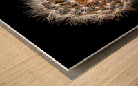 Delicate Wood print
