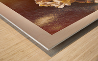Bronze Beauty Wood print