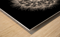 Delicate explosion Wood print