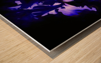 Blue Iris Wood print