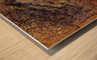 Elephant skin Wood print