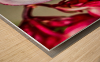Red Flower Wood print