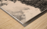 BW Serenity Found in the Alps of Switzerland 3 of 3   HC Stanek   Rare Limited Edition Wood print