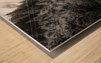 BW Serenity Found in the Alps of Switzerland 2 of 3   HC Stanek   Rare Limited Edition Wood print