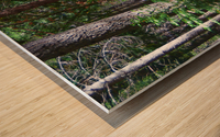 Cedar Trail wide Wood print