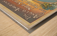 Egypt and The Nile travel poster Wood print