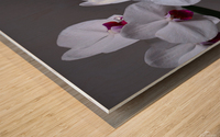 White Orchids Wood print