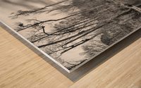 Kayaking Into the Swamp - Eastern North Carolina Wood print