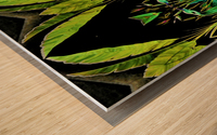NIGHTGARDENMURAL Wood print