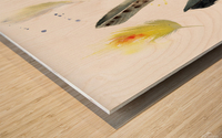 Parrot feathers Impression sur bois