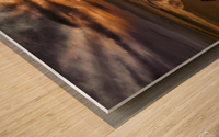 Mariner Park Wood print