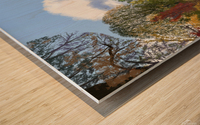 Reflets sur la riviere Wood print