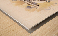 Old window Wood print