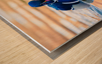 Wood Duck Wood print
