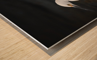 Snowy Egret Wood print