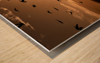 Cranes Flying At Sunset Wood print