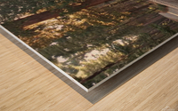 Tunnel Log Sequoia National Park Wood print