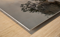 Sequoia Snow Wood print