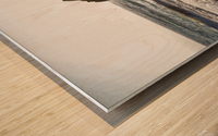 Garrapata Beach Wood print