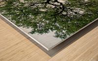 Foothill Spring Wood print